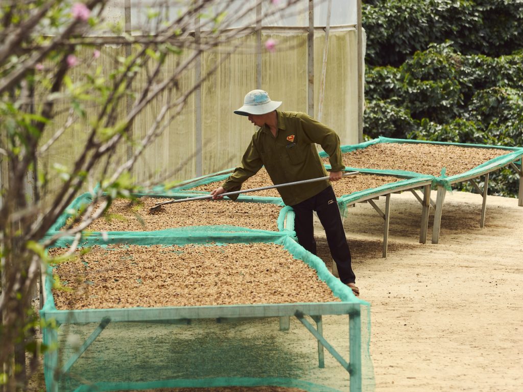 Documentary filming with a coffee producer in Vietnam