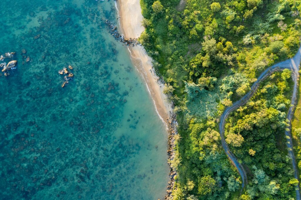 Aerial view of the Da Nang coastline and a forested beach